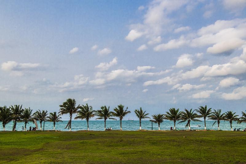 为啥大家都爱去海南养老？原因很简单。海南自然条件优越，地处热带北缘，长夏无冬，年