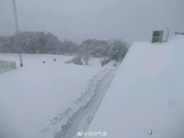 北方这次大范围降雪给春运中往家赶的人造成了很大困扰。24号开始，