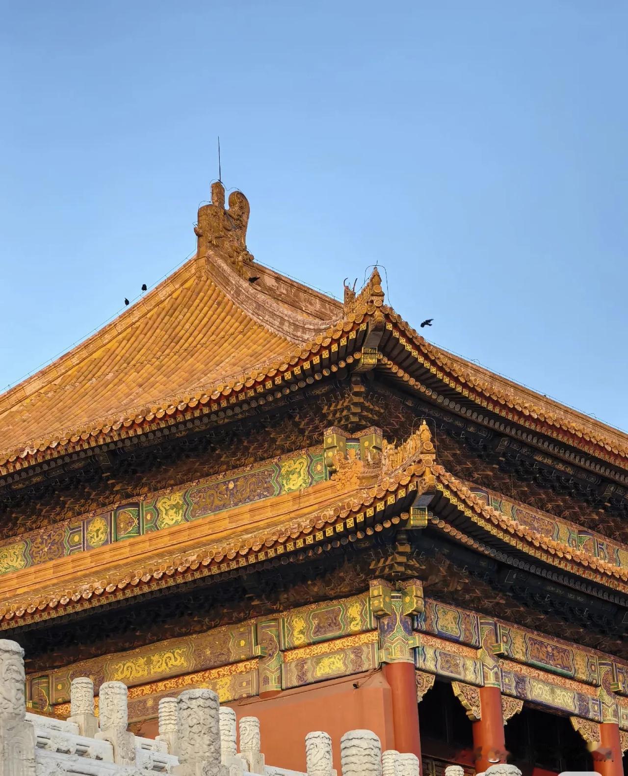 去故宫游玩穿明制汉服，简直绝了！当明制贵女汉服遇上故宫红墙，那画面美到窒息。织金