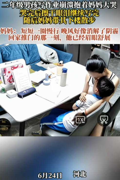 现在小学二年级就这么辛苦了吗？男孩才小学二年级，就因为写作业写到崩溃抱着妈妈