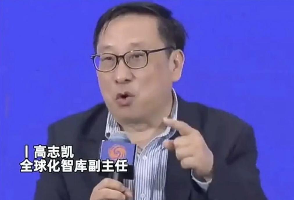 高志凯：美国直选过总统吗？没有！英国直选过首相吗？从来没有！高教授才是真正的斗
