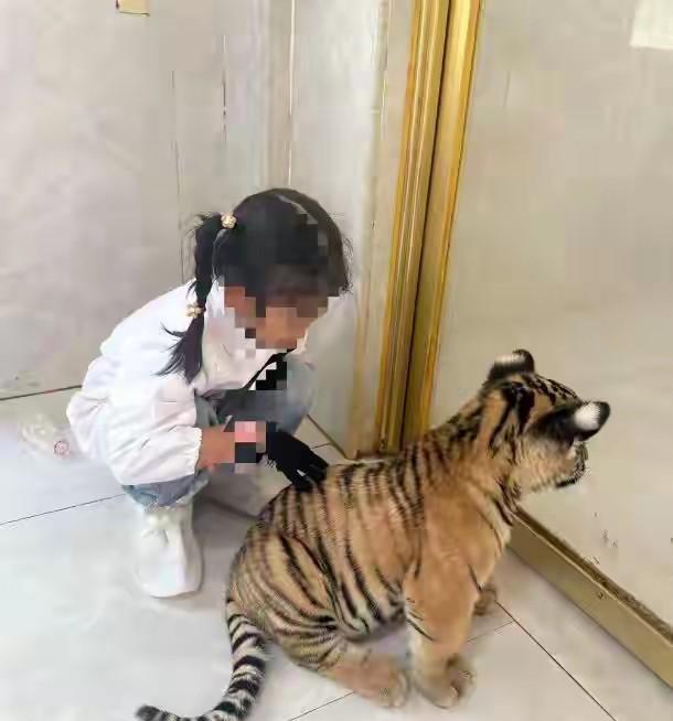一次小伤害，终身有益。不负责任的家长，这一口咬好了，让孩子知道老虎是会伤害人的