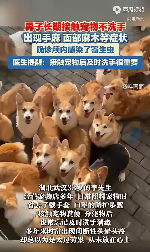 “悲剧还是发生了！”湖北武汉，一男子开了家宠物店，在照料宠物时图省事，不防护也不