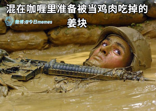 我最多汁（9gag）今日meme今日memes