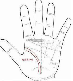 手相掌纹解析：两条生命线一、生有两条生命线的人易有贵人相助二、生有两条生命线的人生命力旺盛三、手上有
