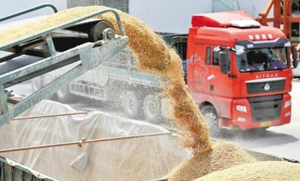 如果全球都停止出口粮食，中国能否自给自足？不夸张地说，中国或许无法做到自给自足。