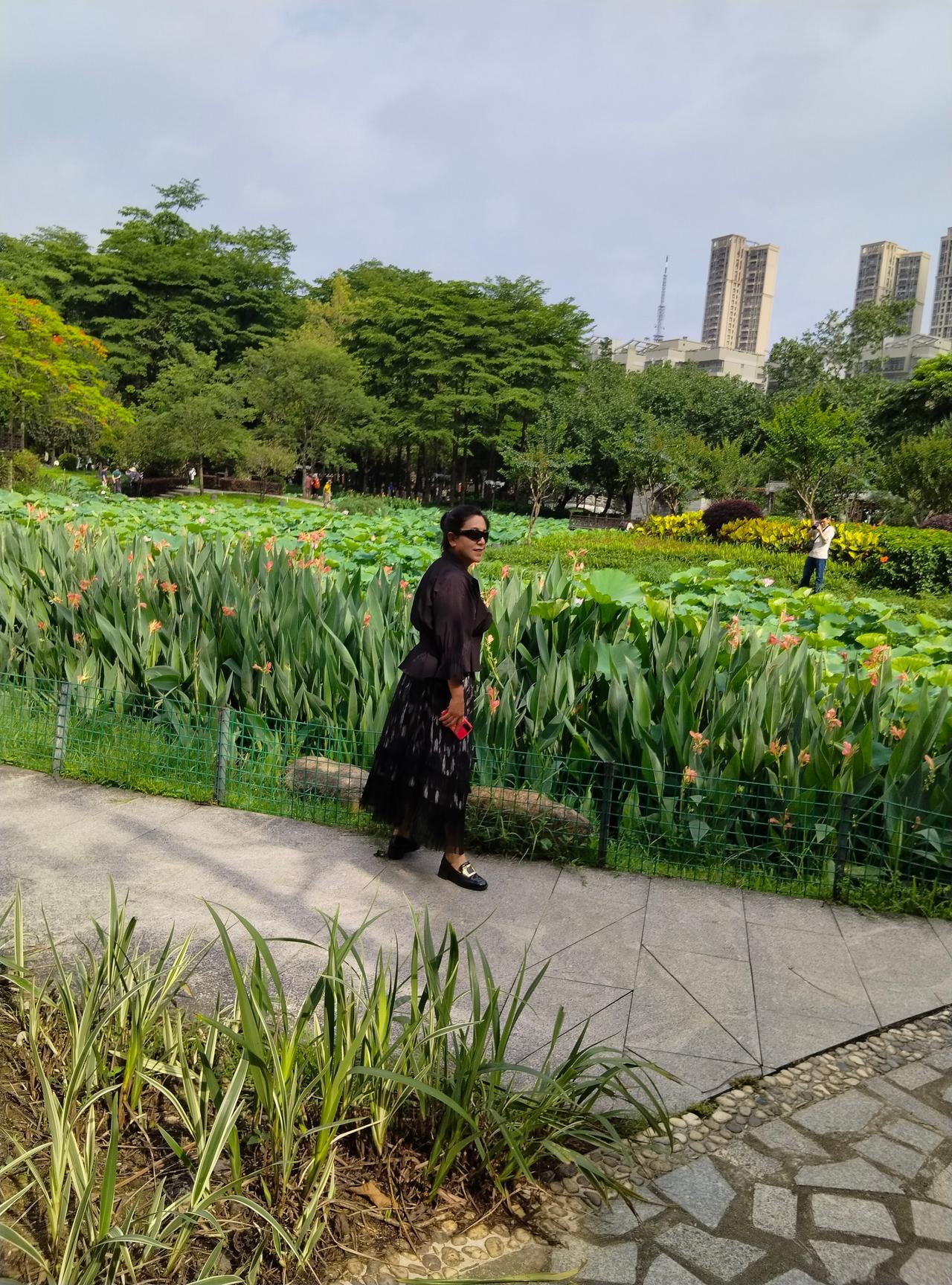 随手拍公园美景