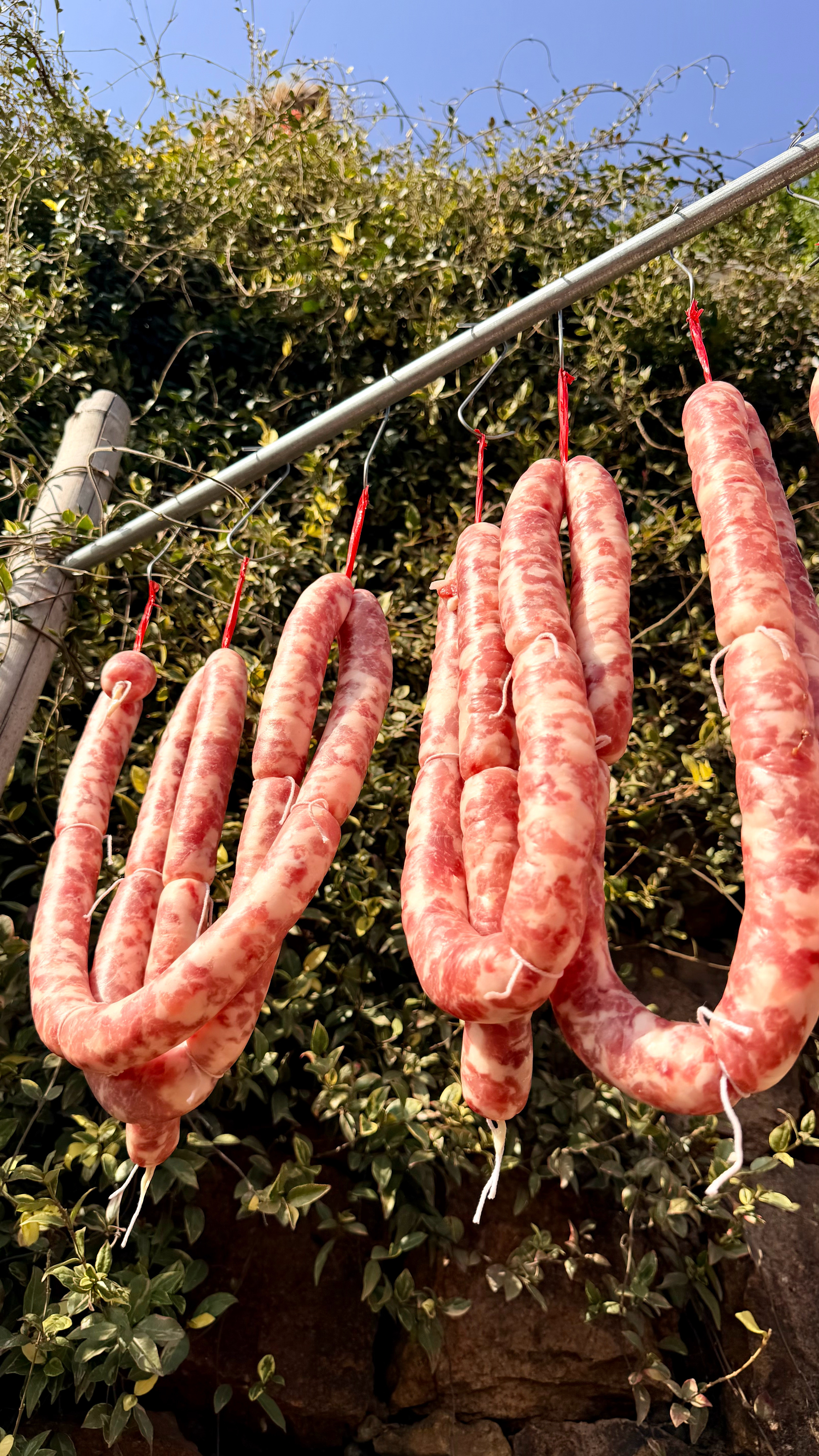 午餐有肉就缺青菜了🥬克总随感