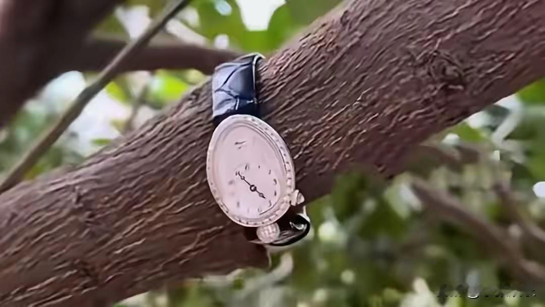 “走是能走，但是估计得按表走了”。26年开年，长沙一女子发视频宣扬了温暖一幕。