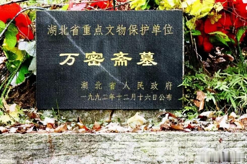 "医圣"万密斋的祛湿良方，只需5味药，排湿健脾，简单又有效万密斋是我国明代与李时