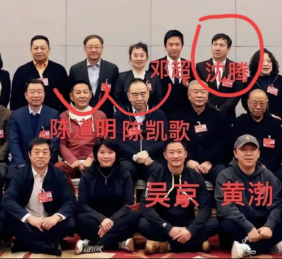 与一众领导合影，沈腾为啥那么出戏呢？