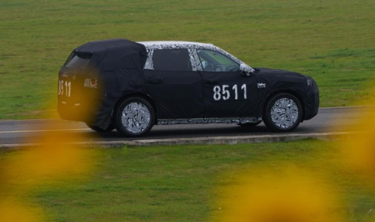 极氪8X渲染图，延续极氪9X的设计明显差异，车顶在经过C柱后有明显的下压趋势，同