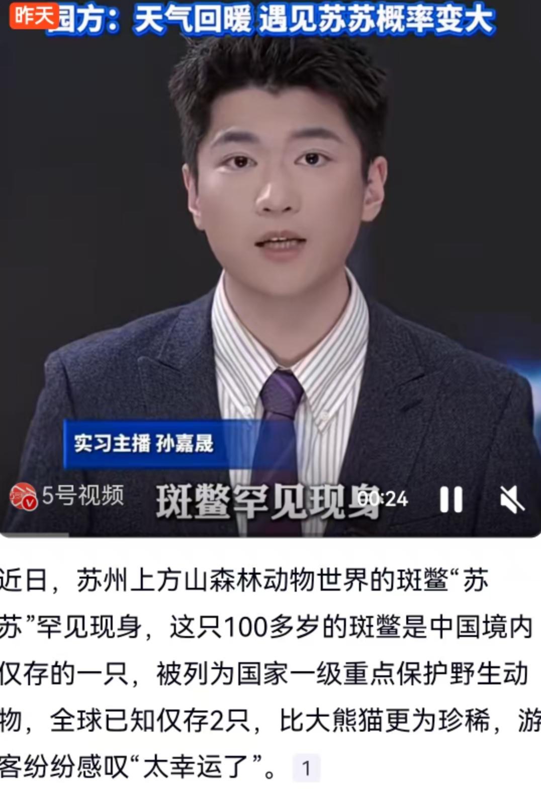 苏州上方山森林动物世界最近迎来了一场堪称奇迹的偶遇。水面破开波纹，一只体表光滑、