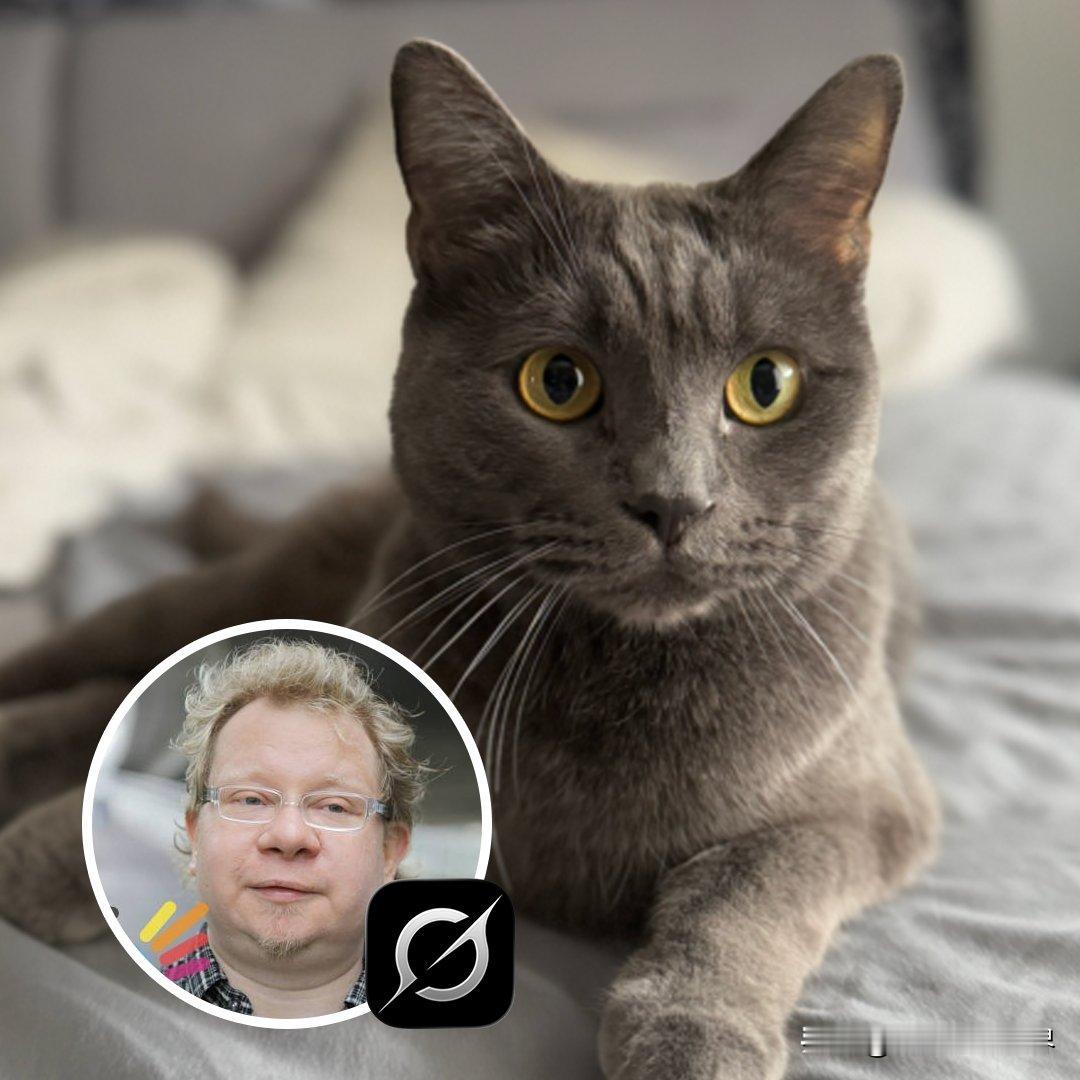 AI再一次带来了救命奇迹。法兰克福摄影师拉尔斯有一天觉得奇怪：他的爱猫莫里茨非