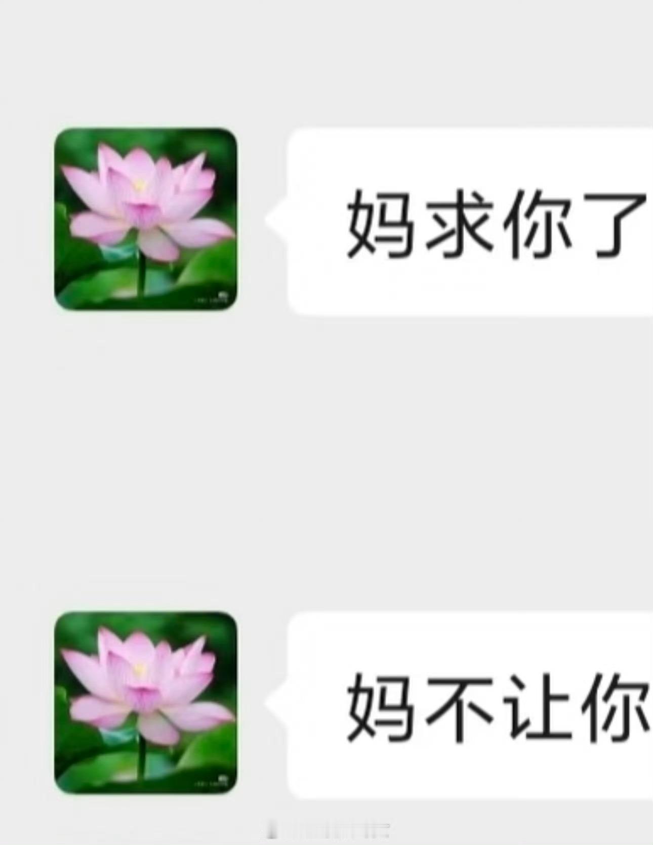 姐，我真的是妈妈