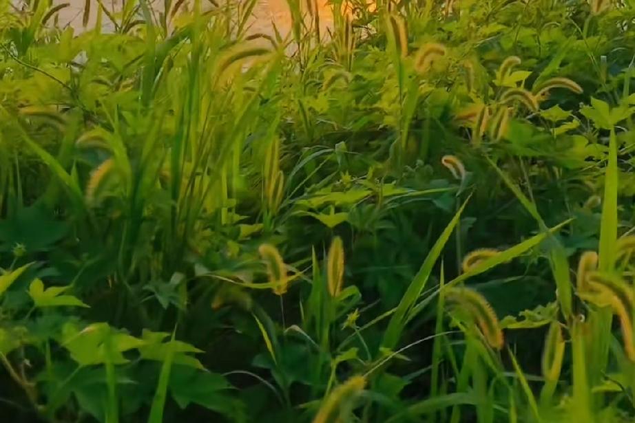 为什么要珍惜那个每天都联系你的人，因为在他心里把你看的很重要。对于他来说，你的