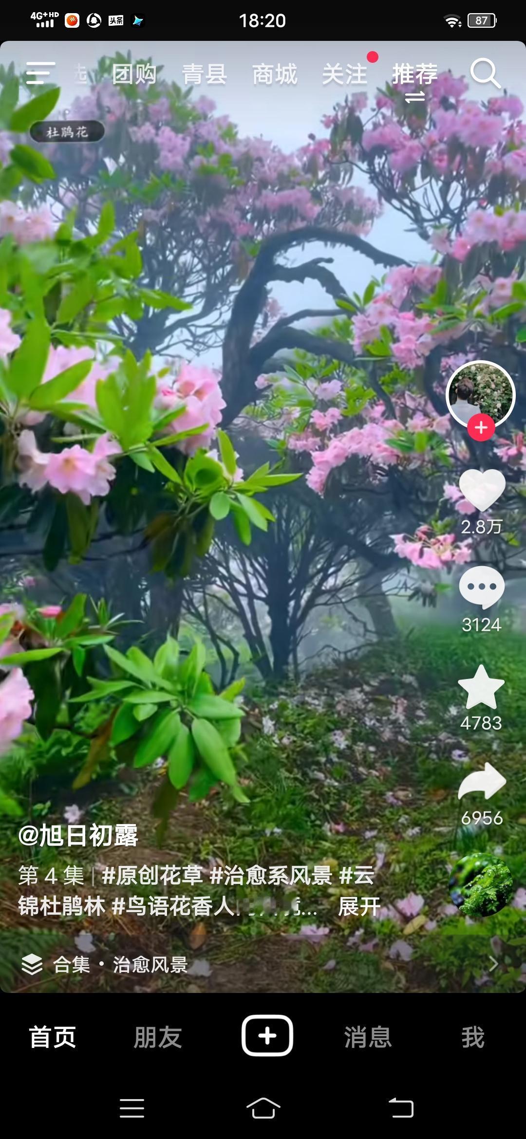 风调雨顺对仗什么最好?人寿年丰。