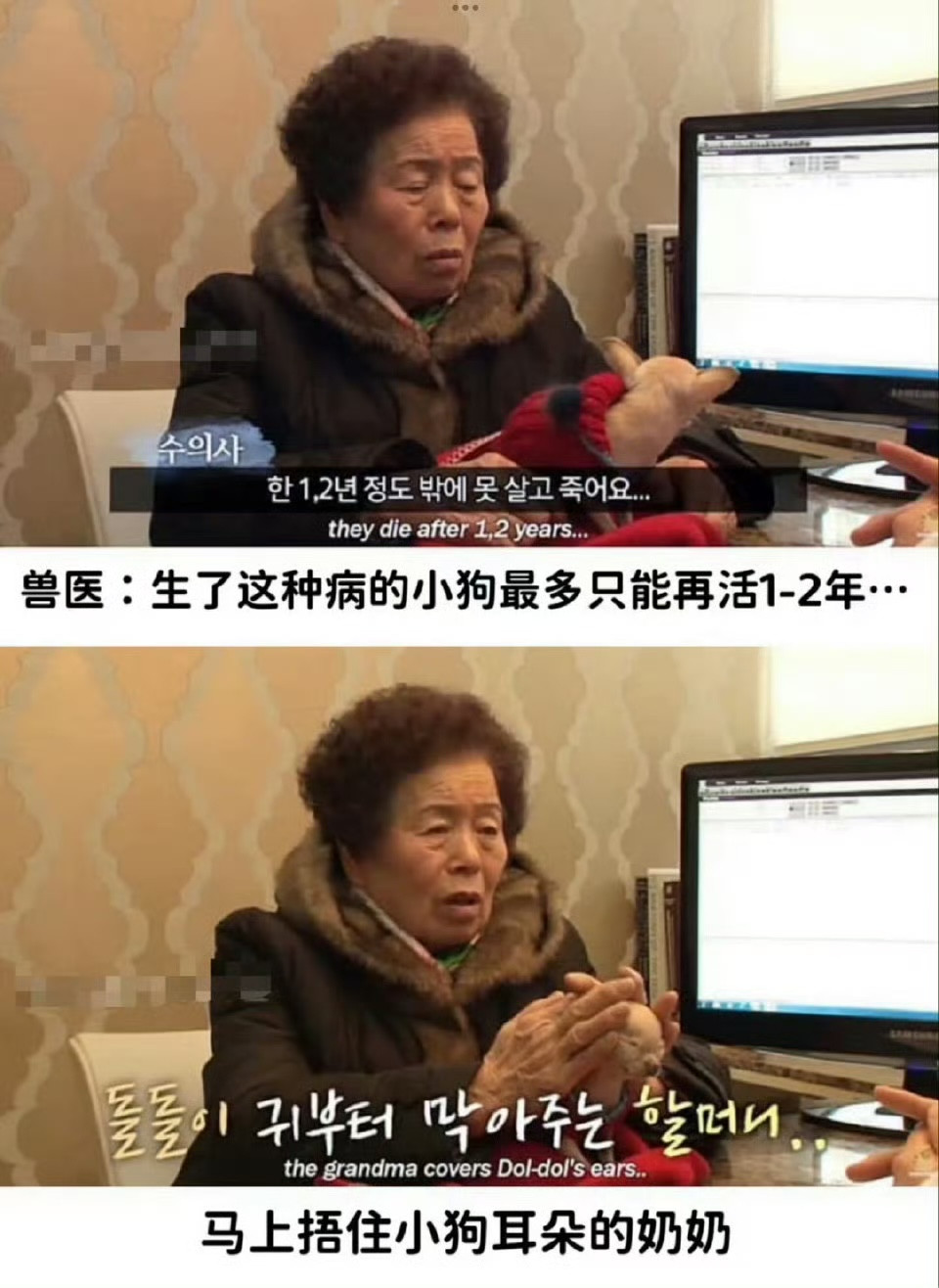 奶奶：小狗可听不得这种话！