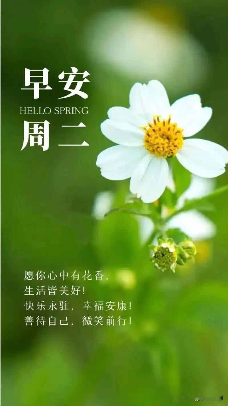 今天是2025年12月9日，农历十月二十，周二。晨光轻洒窗台，带着初冬的清暖