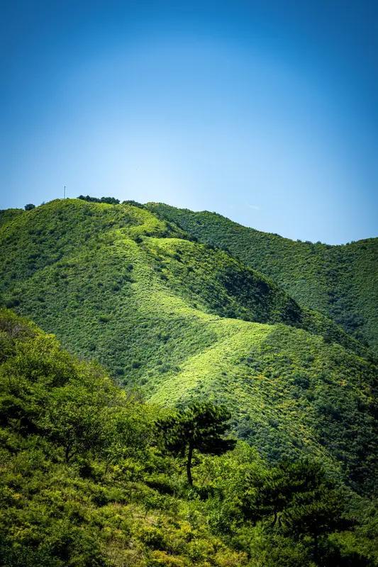 上联：一湾绿水浮诗韵；下联：几座青山入画屏。