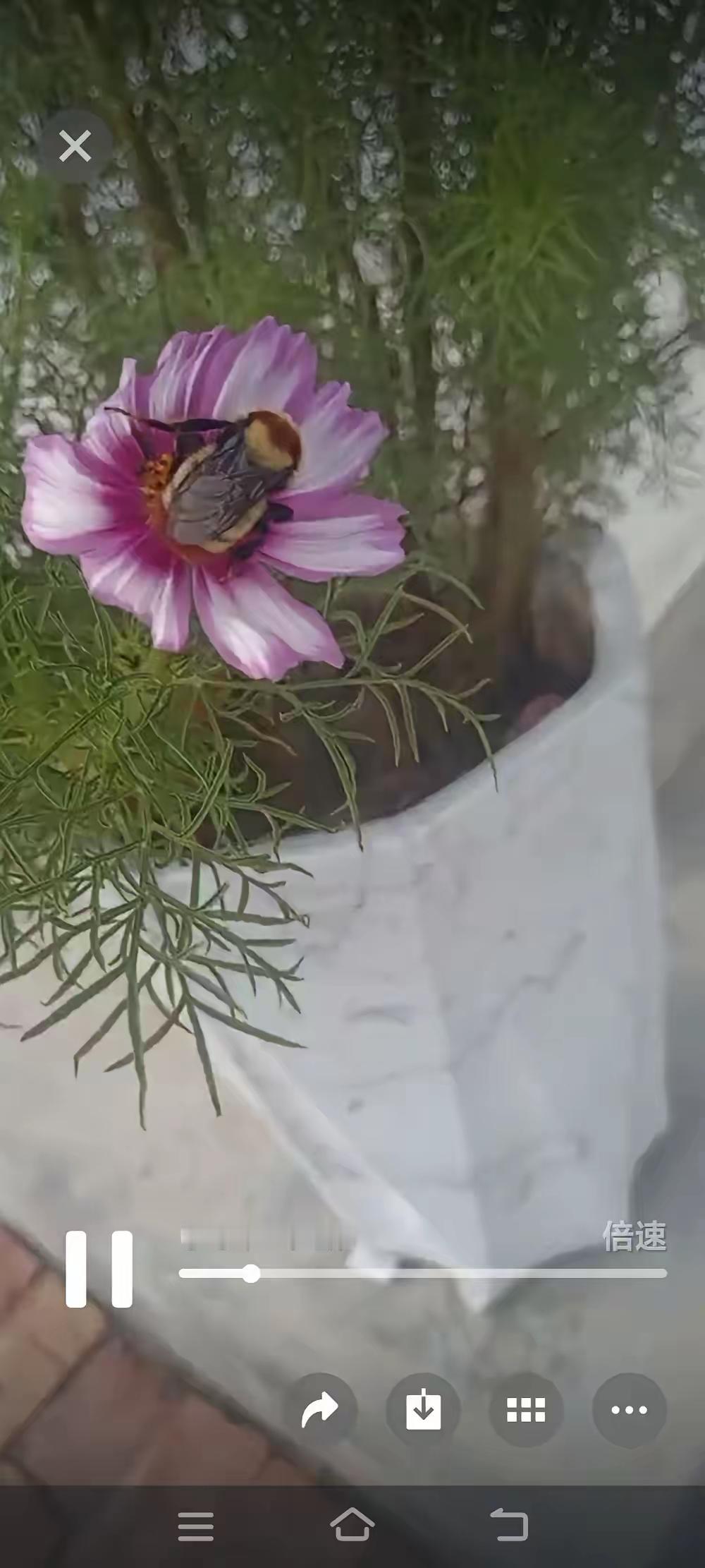 婆婆帮着带娃还总贴钱，当儿媳的真该揪着对错不放吗？昨天在菜市场碰到邻居李姐，她正