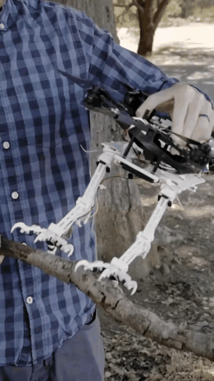 多出去走走吧，世界快变得我们不认识的样子了。