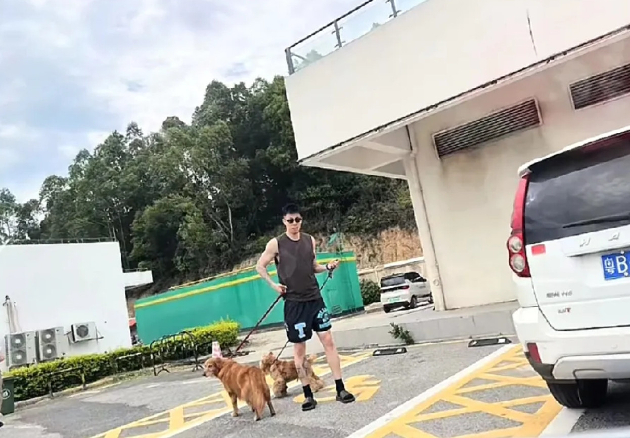 最近刷到张公子在广东遛狗的照片，这哥们休赛期简直把广东当第二故乡了。据说老婆是深