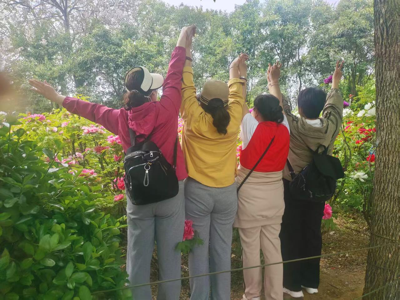 昨天去洛阳看牡丹着实后悔了，可是你问我下次还去吗？答案是肯定的、必须的，人就是这