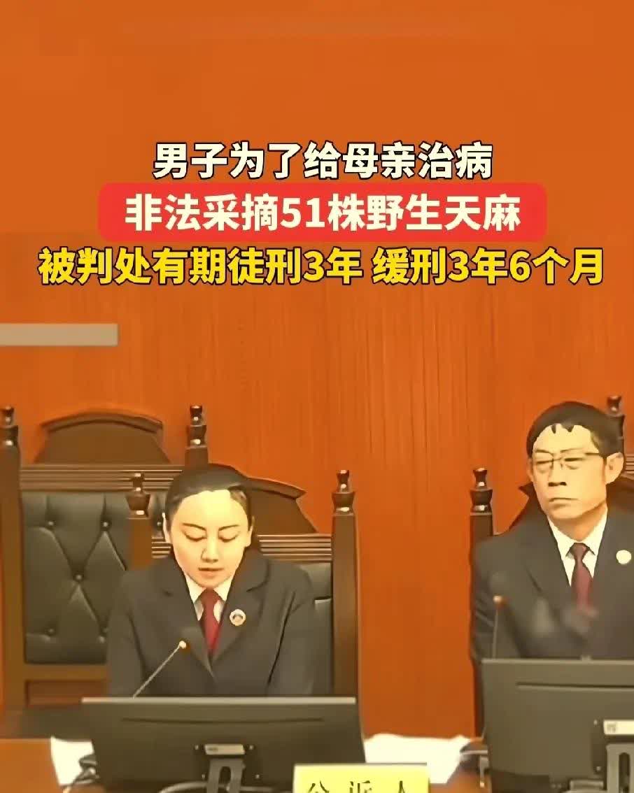 重庆黔江野生天麻VS新乡辉县学生抓鸟从2014年的新乡大学生抓鸟被判