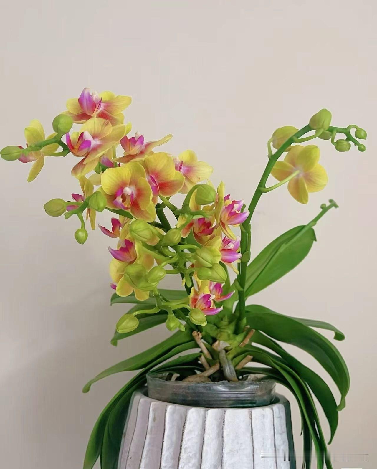 人作死的八大操作：1、清晨洗头洗澡2、沙发久坐不动3、睡前剧烈运动4、