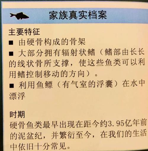 震惊！人类的颌骨，竟源自4亿年前一条小鱼？你猜，我们吃饭、说话、呼吸的“下巴”