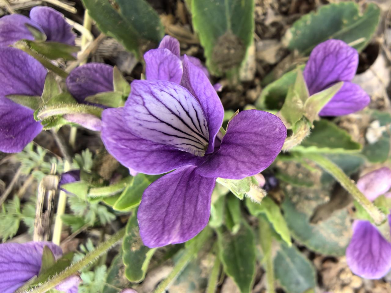 李姐今年七十多岁了，她说的一段话，我觉得很有道理。她说，人到了五六十岁，身体状况