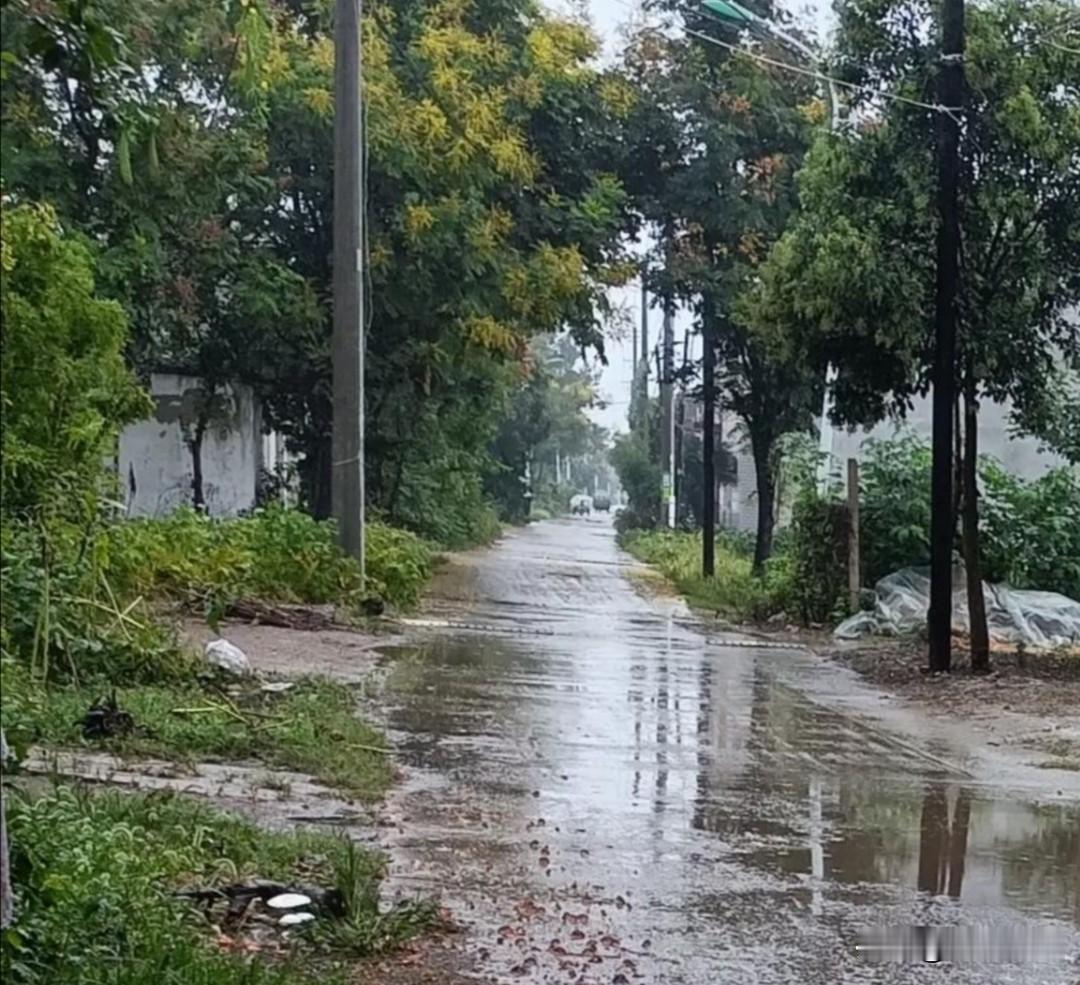 下半年降雨量，将是六十年不遇家人们好，最近网上都在流传一个说法：上半年大旱，