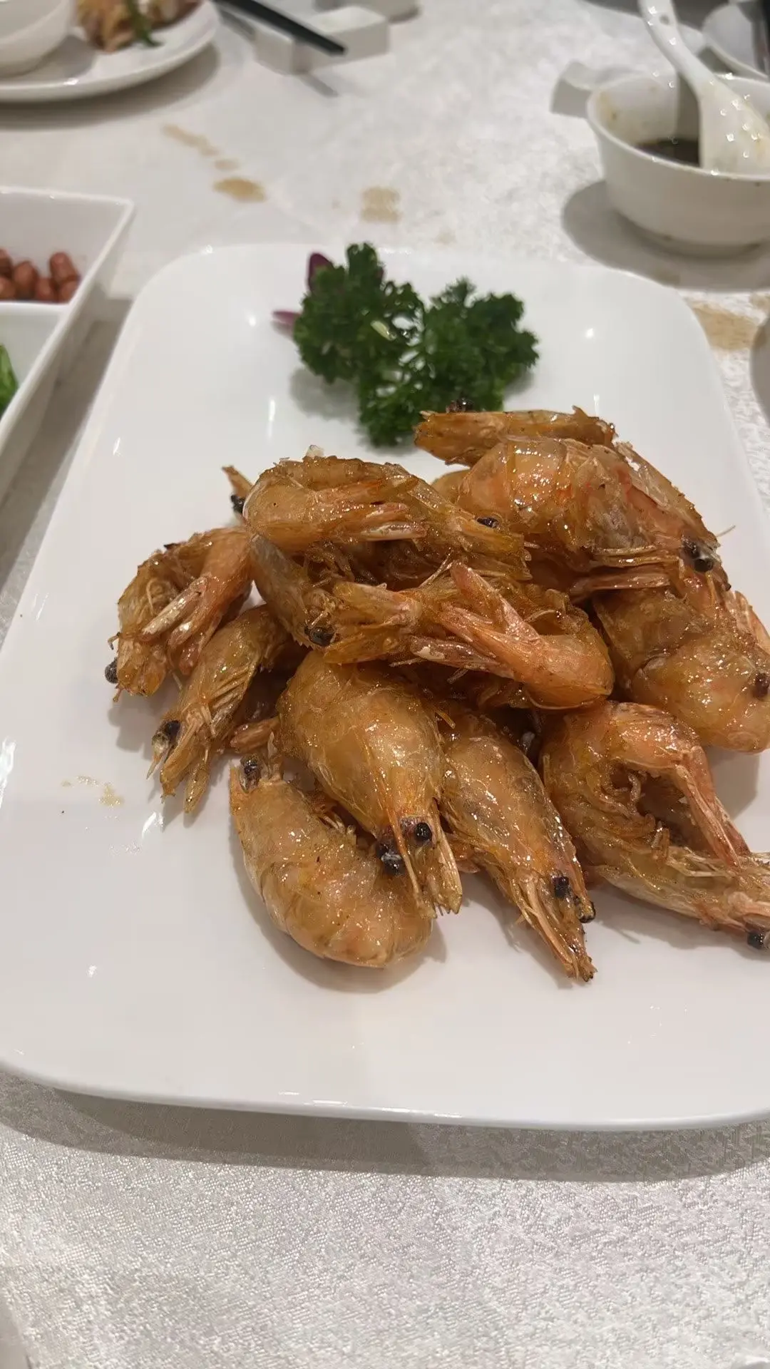 细数此生的最美好，是我来时，恰逢你到——张皓宸