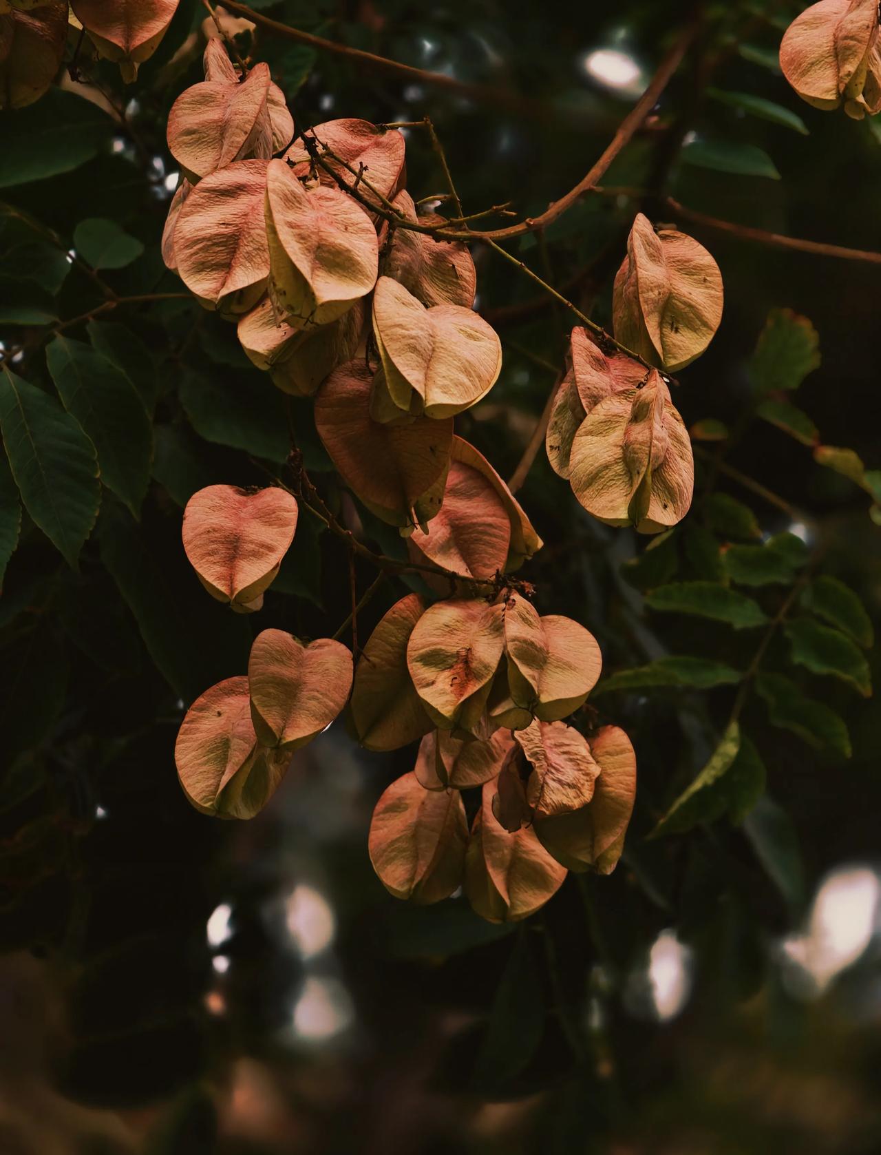 阳光不错心情也不错不是我一人好多人都挺好记录开心时刻欣赏摄影魅力