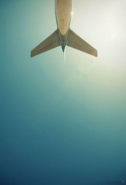 如果不够勇敢，就无法飞翔。没有梦想，何必去远方。