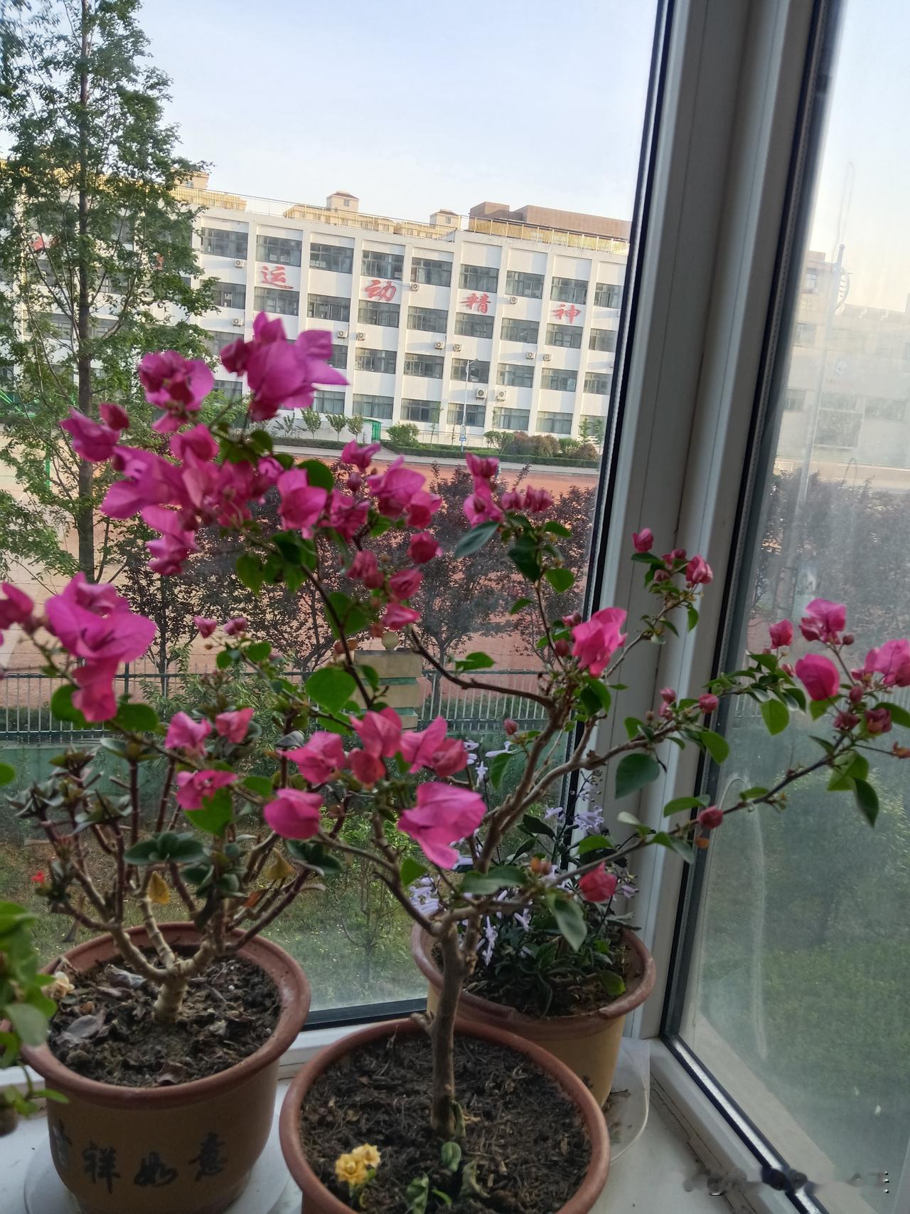 1.半夜生，福气久。2.卯时（5-7点）生，有朝气，麻利，人称晨光命。3.辰时（