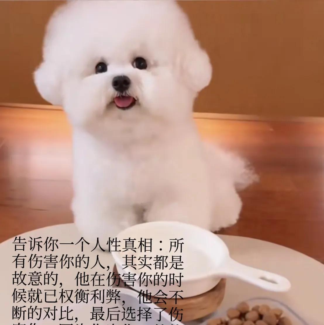 这两天我突然发现一个道理，就是不能跟认知浅的愚蠢的人打交道太久，要么他们的愚