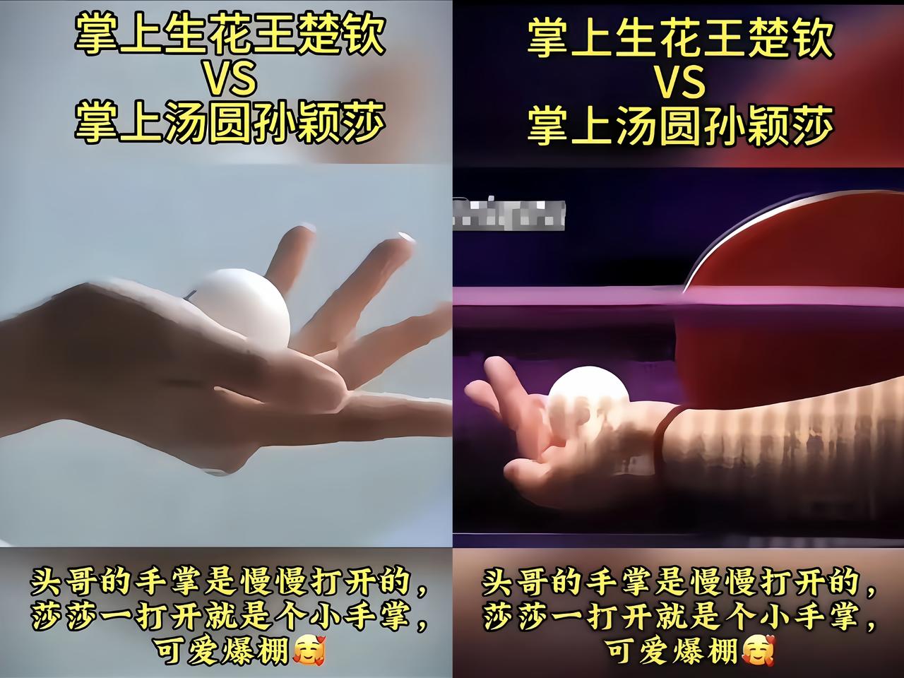 每次看头哥和莎莎发球，我的眼神就不自觉往他们手上瞟。头哥那手啊，是一根一