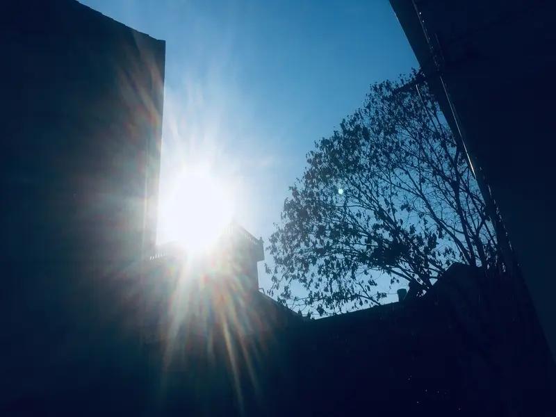 为什么境界越高的人越简单?境界越高的人越简单，这真是个值得琢磨的事儿。年轻时，