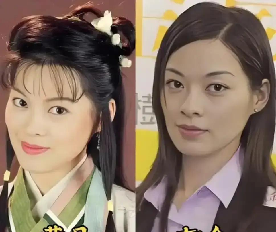 TVB明星，正在批量“转行”。不是落魄，是甩开光环，冲进大湾区赚钱。