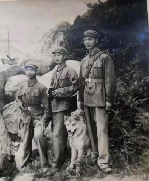 60-80年代老兵奉献，年补贴50元，晚年保障引关注。国家会给特定年代的退