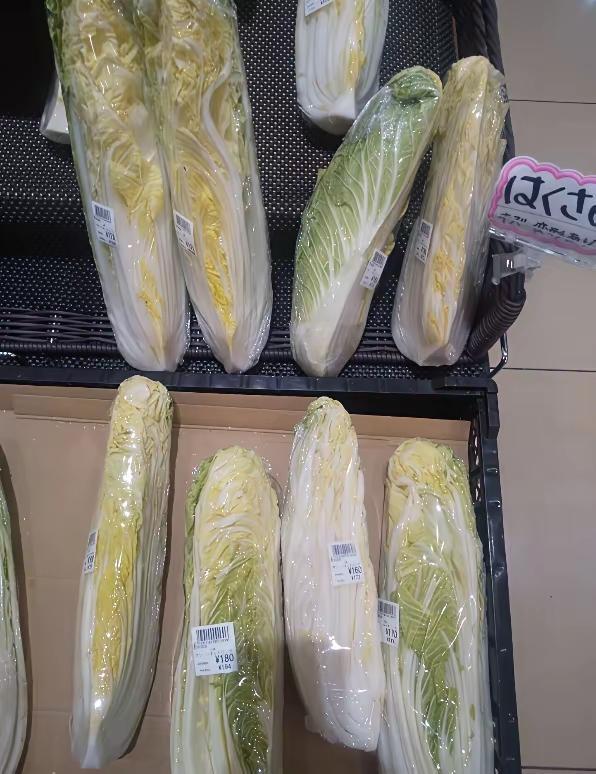 本子的人民都饥饿成啥样了，一颗白菜砍成八半子卖。咋不饿死这些龟孙儿？谁送的礼物