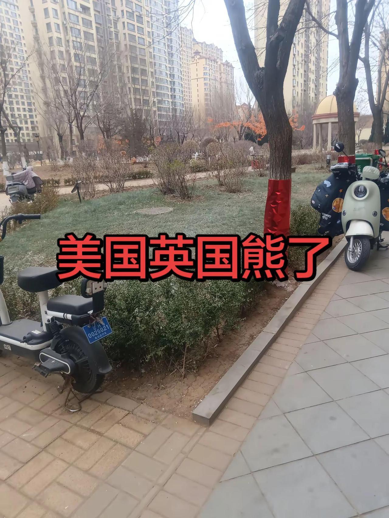 随拍每一帧都是热爱