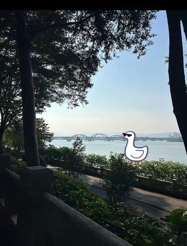 有钱人的物欲真的太低了。我姐姐今年45岁，手里有两三百万的存款。在普通人