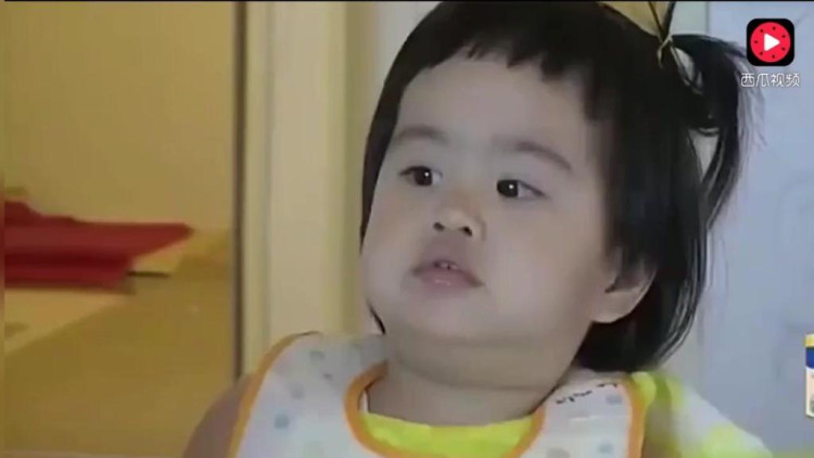 包贝尔对饺子: 你太胖了,减肥吧!遭饺子翻白眼怒怼: 你也不瘦!