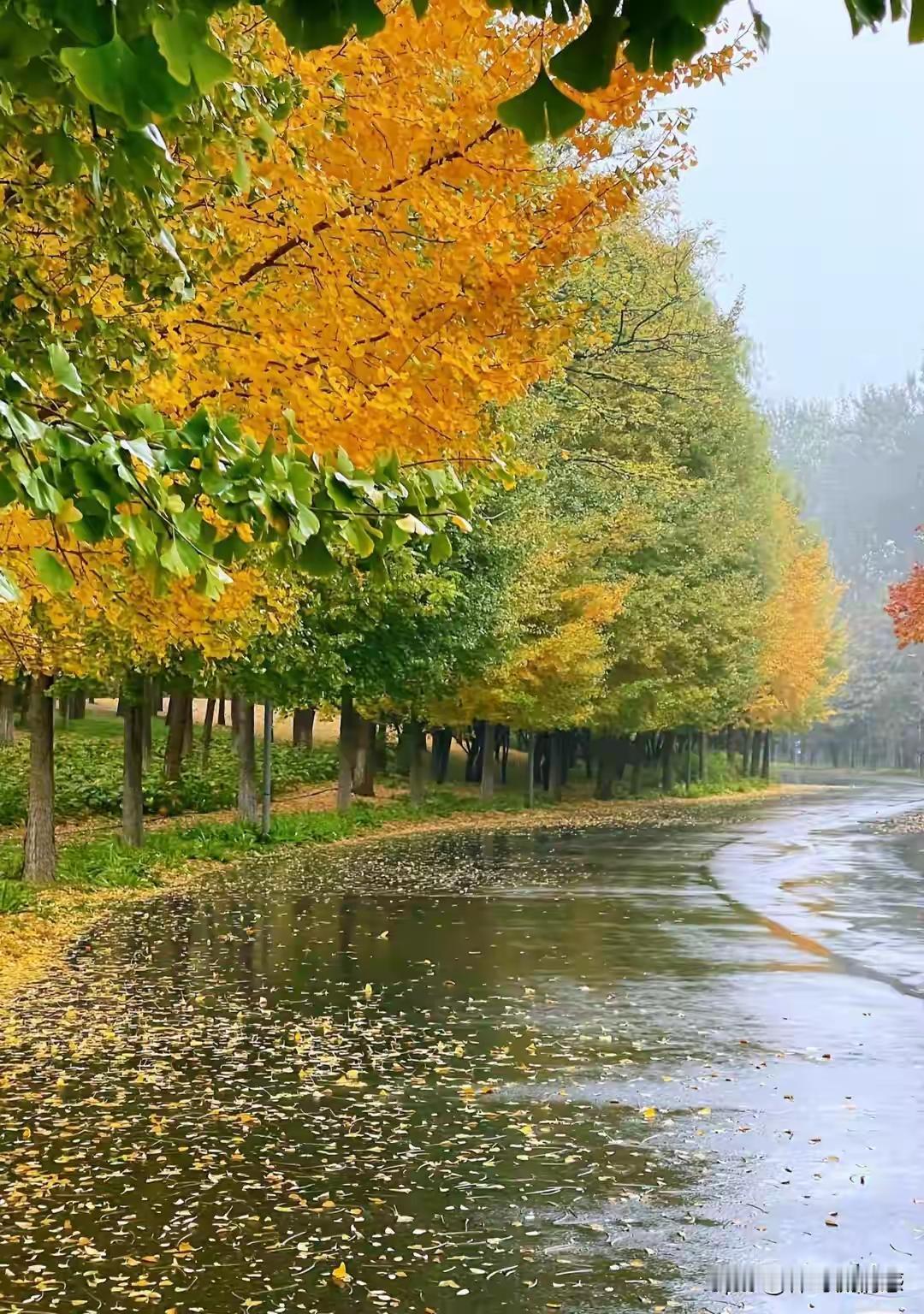 人生如行走在漫长的修行路上，健康正是那一抹最温暖的阳光。世上的美好，从来都不是凭