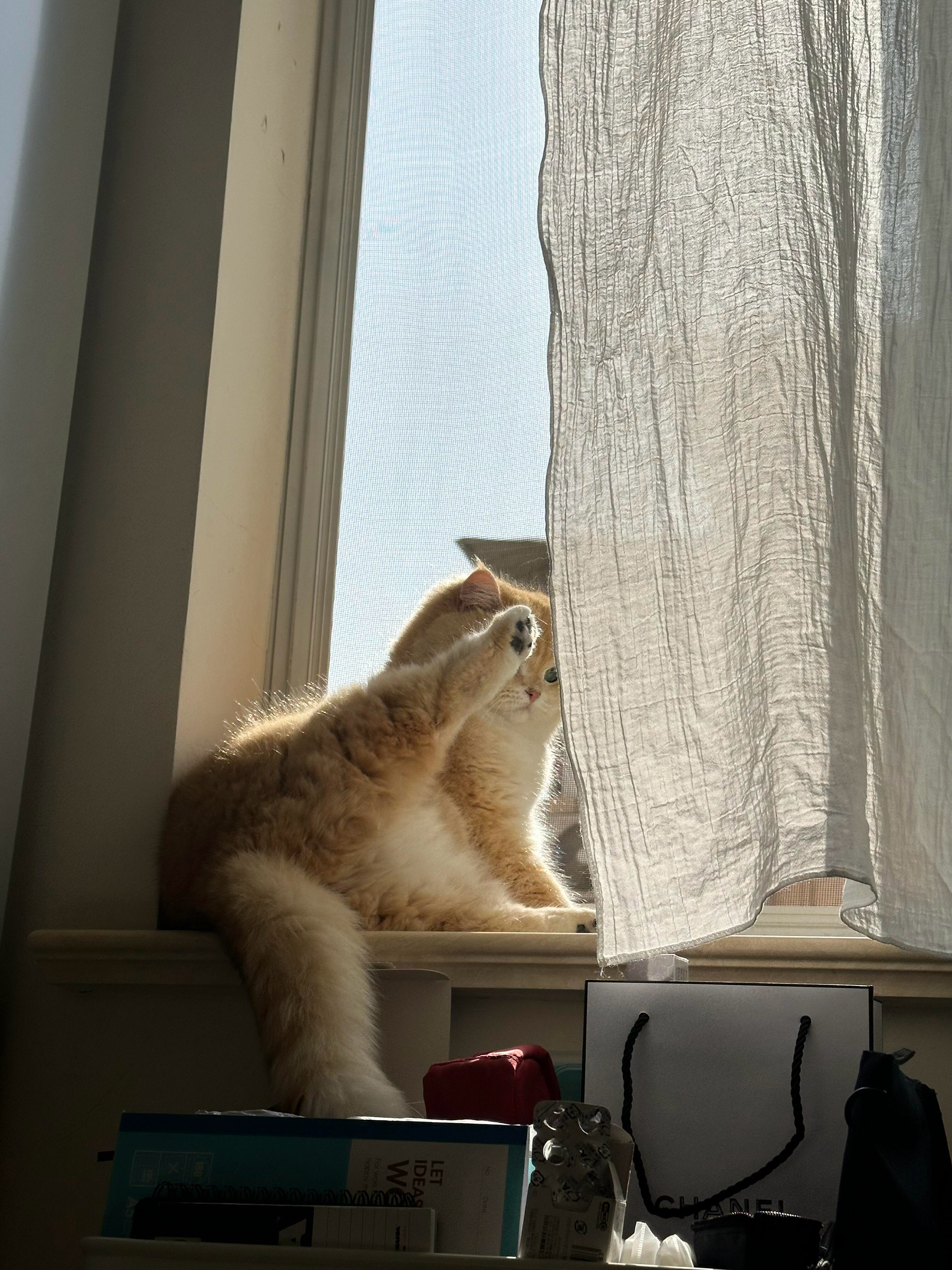有些舔jio照一生只能拍到一次！​​​