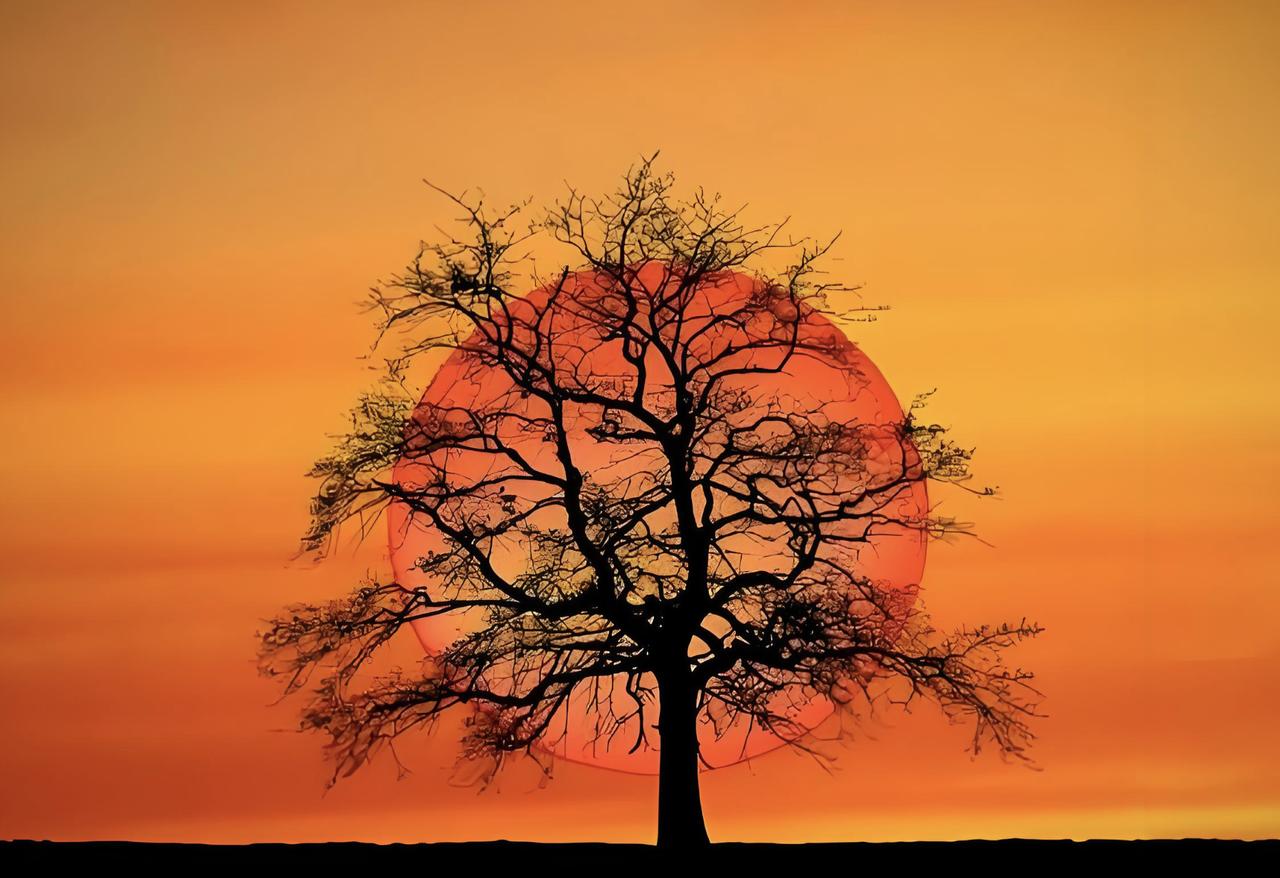 天不从顺耳之语，人不渡蜜糖之口。你以为你爱听的那些话，是在养你？是在废你。