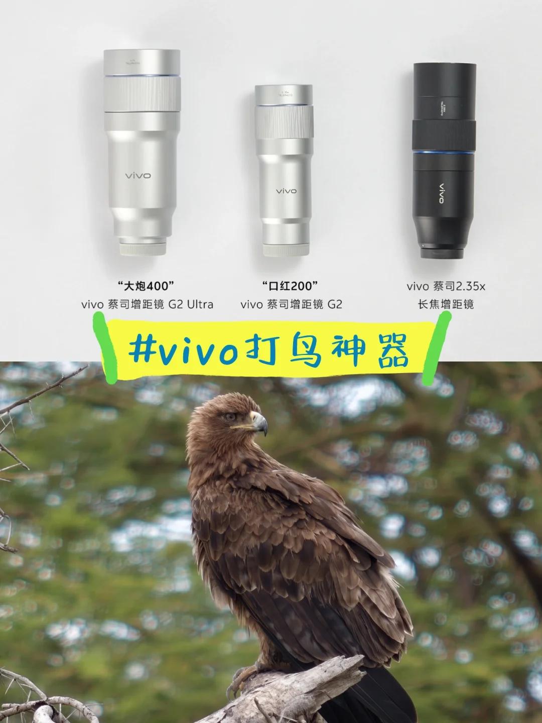 打鸟神器！vivo的影像灭霸又又又要升级了